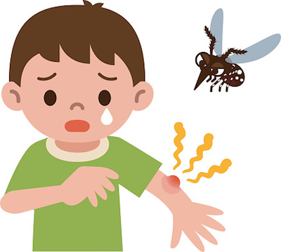 Boy bitten by mosquito