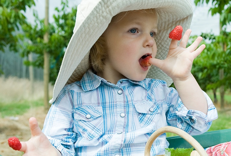 Child eating strawberries off of fingers