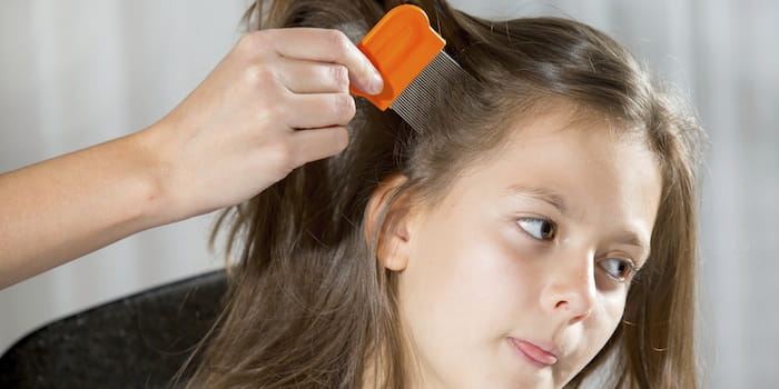 Can tea tree oil prevent head lice? - Orlando Health Arnold Palmer 