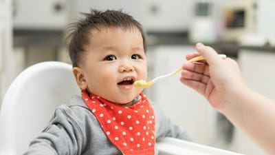 Baby in bib being fed
