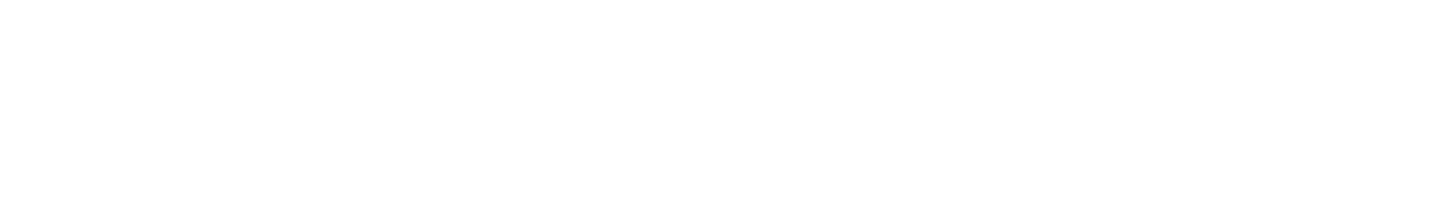 Logo - Orlando Health Arnold Palmer Hospital for Children