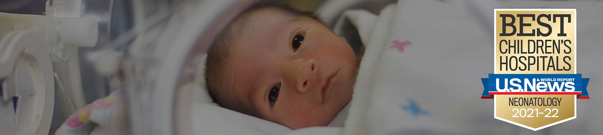 Neonatal Extracorporeal Membrane Oxygenation (ECMO) 